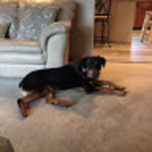 Meet your Posher, Matthew